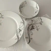 ظروف چینی