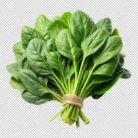 اسفناج محلی