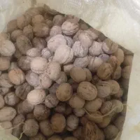 با سلام ۲۴ کیلو گردو امسال تازه