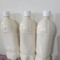 کشک گوسفندی درجه یک کلی جزیی
