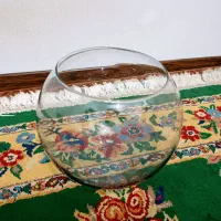 2عدد تنگ ماهی کوچیک و بزرگ نوهستن