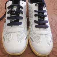 کفش نو|کیف، کفش، کمربند|قم, پردیسان|دیوار