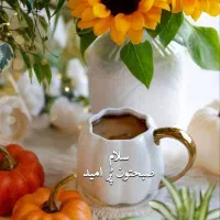 اپارتمان مرکز شهر|اجارهٔ آپارتمان|فولادشهر, B1|دیوار