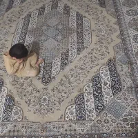 ۱ تخته قالی سلیمان ۱۲متری دسته دوم