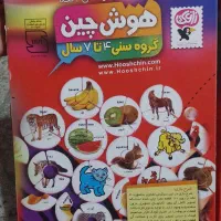هوش چین ۴ تکه|اسباب‌بازی بچه|تهران, باغ فیض|دیوار