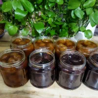 انواع محصولات خانگی بابهترین کیفیت|خوردنی و آشامیدنی|قم, انسجام|دیوار