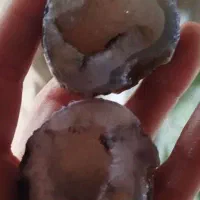 توپی کوارتز