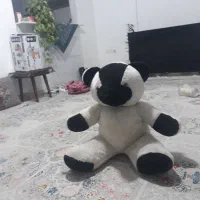 عروسک|اسباببازی بچه|سمنان, |دیوار