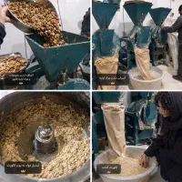 قوتو قاووت تولید کننده