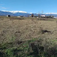 زمینی-به-مساحت-600-متر-قطعه-بندی-شده