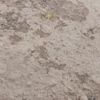 خلال پشم گم شده