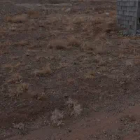 زمین فروشی|فروش زمین و ملک کلنگی|اقلید, |دیوار