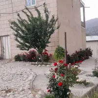 اجاره باغ ویلا/روزانه/هفتگی/ماهانه