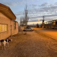 فروش-سوله-صنعتی-ایده-آل-زون-غذایی-چندمنظوره-بامجوز