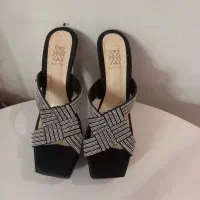کفش مجلسی
