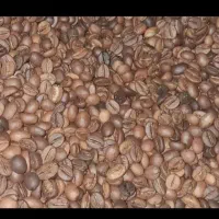 دان قهوه
