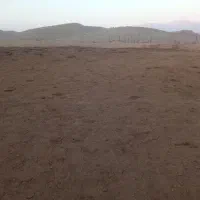 کود شتر|خدمات باغبانی و درختکاری|حاجی آباد, |دیوار