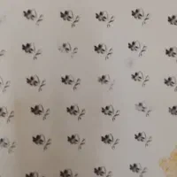 نقاشی ساختمان بابهترین کیفیت ونازلترین قیمت