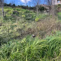 زمین مناسب سرمایه گذاری واماده ساخت