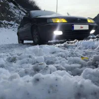 زانتیا ۲۰۰۰