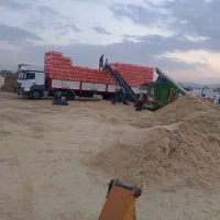 کاه.سفید.به.دونه.خاک|خدمات باغبانی و درختکاری|دهگلان, |دیوار