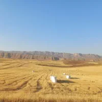 کاه گندم دیم ،پرس سوفال رو کوچیک