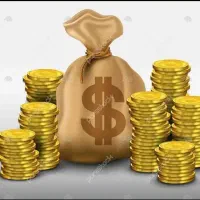 ضامن وام بانکی موجود است.