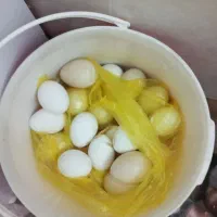 مرغ و خروس و اردک مسکویی..سانن|حیوانات مزرعه|مشهد, چهاربرج|دیوار