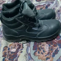 کفش کارمعاوضه باپرنده|کیف، کفش، کمربند|زاویه, |دیوار