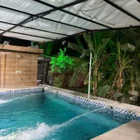 ویلاباغ-تفریحی-نخلی