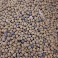 سلام دوستان حبوبات خوشپخت و تازه لرستان|خوردنی و آشامیدنی|فولادشهر, فولادشهر|دیوار