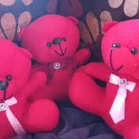 ولنتاین|زیورآلات و اکسسوری|رشت, سلیمانداراب|دیوار