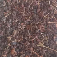 کشمش پاکنشده ۲۶کیلو|خوردنی و آشامیدنی|شال, |دیوار