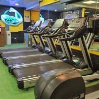 تجهیزات باشگاه بدنسازی|تجهیزات ورزشی|کرج, عظیمیه|دیوار