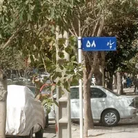 مغازه سیدی
