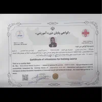 ماساژ تخصصی شبانه روزی حجامت بادکش سیار درمنزل شما|خدمات آرایشگری و زیبایی|شیراز, خلیلی|دیوار