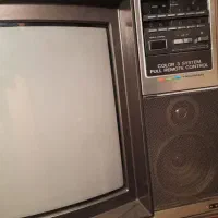 تلویزیون عتیقه سونی|کلکسیون اشیاء عتیقه|شیراز, بید زرد|دیوار