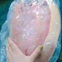 نیروی کار در پروتئینی