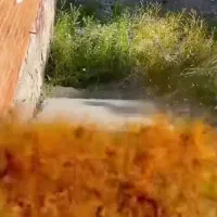 زمین دو نبش هواشناسی