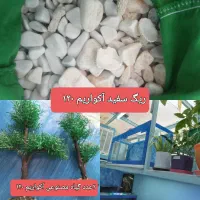 آکواریم ۱۲۰ سانتی معاوضه با پرنده زینتی|لوازم جانبی حیوانات|مشهد, دانشجو|دیوار
