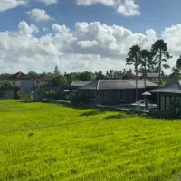 کار در منزل نظافت درخت کاری ماساژ،خرید هماهن کارها