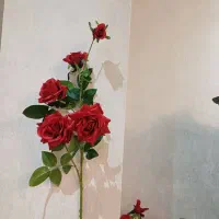 تزئینی|گل مصنوعی|تهران, تهرانپارس غربی|دیوار