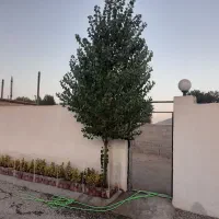 80 متر زمین مسکونی چهار دیواری،،در کوهسار(چندار)|فروش زمین و ملک کلنگی|کرج, برغان|دیوار