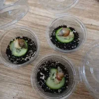 حلزون آچاتینا