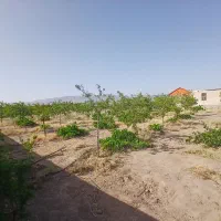 ۱۳۰۰متر خونه باغ|فروش خانه و ویلا|سبزوار, قصبه غربی|دیوار