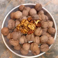 خشکبار