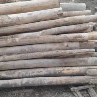 هیزوم وتخته