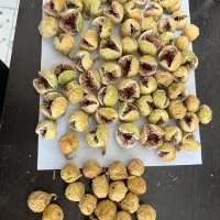 انجیر