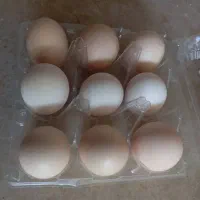 تخم مرغ محلی ارگانیک