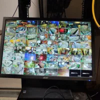 دوربین مداربسته مدل برایتون IPC-۷۴۵۲۱C۲۹-AI|دوربین مداربسته|بروجرد, |دیوار